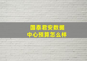 国泰君安数据中心预算怎么样