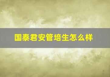 国泰君安管培生怎么样