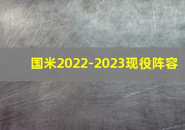 国米2022-2023现役阵容