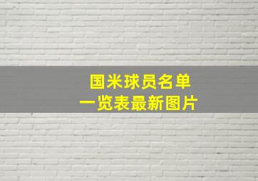 国米球员名单一览表最新图片