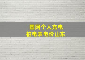 国网个人充电桩电表电价山东