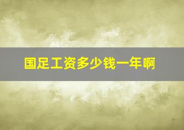 国足工资多少钱一年啊