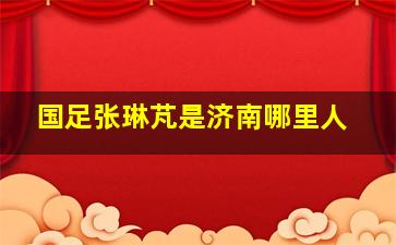 国足张琳芃是济南哪里人