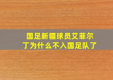 国足新疆球员艾菲尔丁为什么不入国足队了