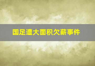 国足遭大面积欠薪事件