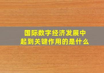 国际数字经济发展中起到关键作用的是什么