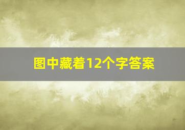 图中藏着12个字答案