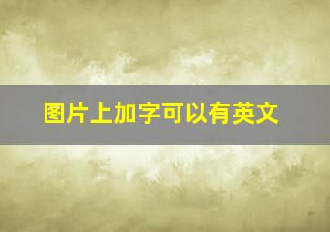 图片上加字可以有英文