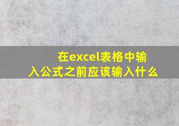 在excel表格中输入公式之前应该输入什么