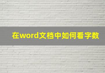 在word文档中如何看字数