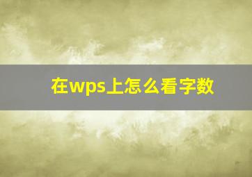 在wps上怎么看字数