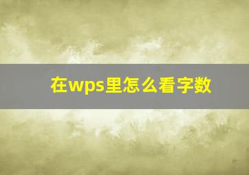 在wps里怎么看字数