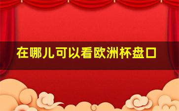 在哪儿可以看欧洲杯盘口