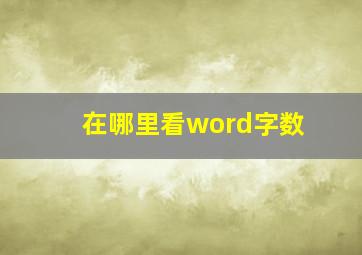 在哪里看word字数