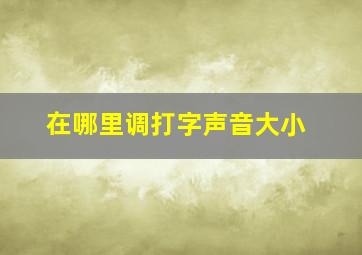 在哪里调打字声音大小