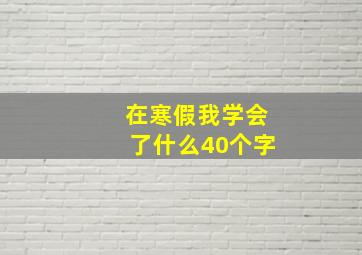 在寒假我学会了什么40个字