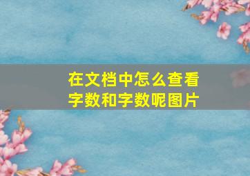 在文档中怎么查看字数和字数呢图片