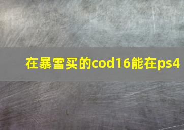 在暴雪买的cod16能在ps4