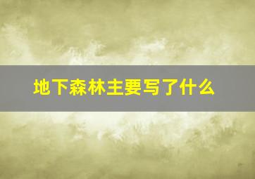 地下森林主要写了什么