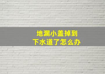 地漏小盖掉到下水道了怎么办