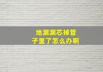 地漏漏芯掉管子里了怎么办啊