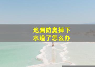 地漏防臭掉下水道了怎么办