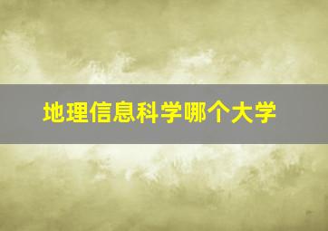 地理信息科学哪个大学