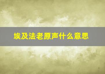 埃及法老原声什么意思