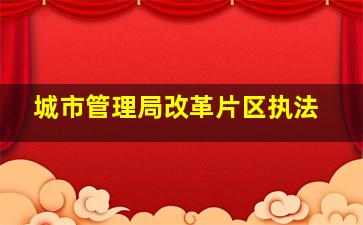 城市管理局改革片区执法