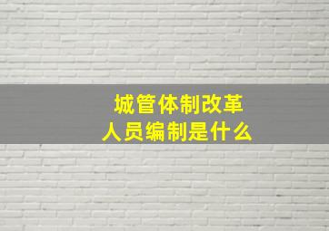 城管体制改革人员编制是什么