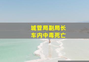 城管局副局长车内中毒死亡