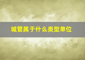 城管属于什么类型单位