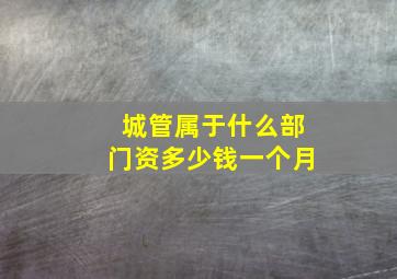 城管属于什么部门资多少钱一个月