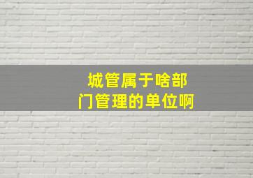 城管属于啥部门管理的单位啊