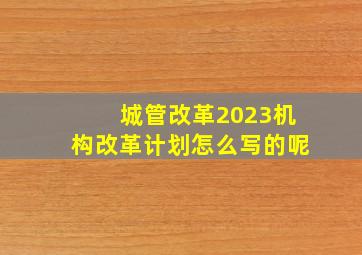 城管改革2023机构改革计划怎么写的呢