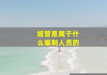 城管是属于什么编制人员的