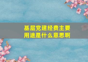 基层党建经费主要用途是什么意思啊