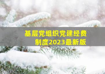 基层党组织党建经费制度2023最新版