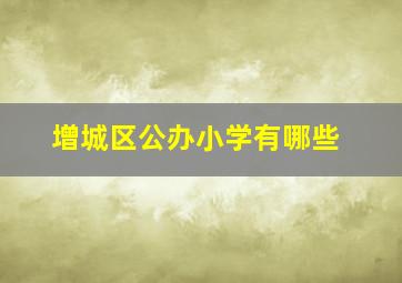 增城区公办小学有哪些