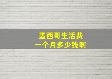 墨西哥生活费一个月多少钱啊