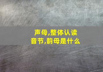 声母,整体认读音节,韵母是什么