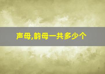 声母,韵母一共多少个