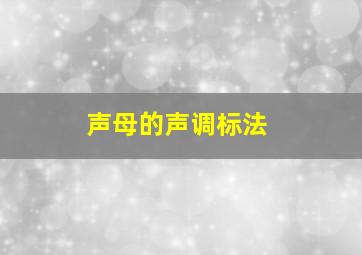 声母的声调标法