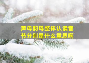 声母韵母整体认读音节分别是什么意思啊