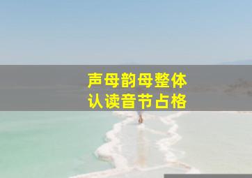 声母韵母整体认读音节占格