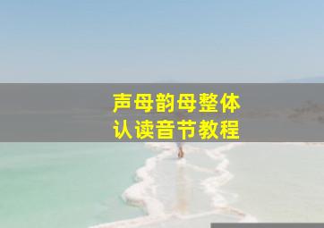 声母韵母整体认读音节教程