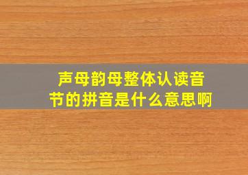 声母韵母整体认读音节的拼音是什么意思啊