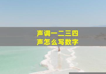 声调一二三四声怎么写数字