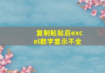 复制粘贴后excel数字显示不全