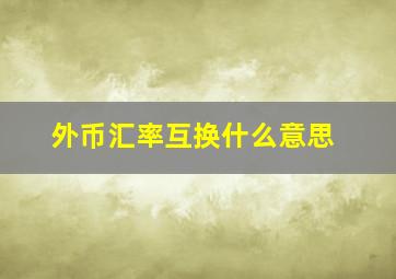 外币汇率互换什么意思